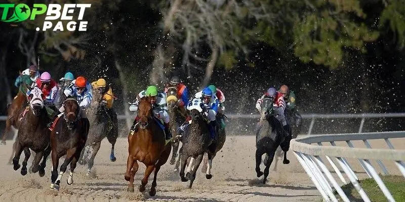 Để tăng tỷ lệ chiến thắng khi chơi Đua ngựa Preakness, bạn nên áp dụng một số chiến lược